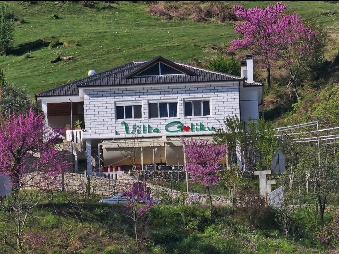 Villa Goliku Pestani Eksteriør billede